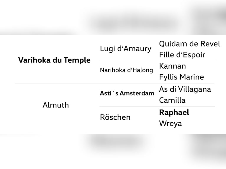 Hannoveraan Merrie 5 Jaar 169 cm Vos in Dannenberg (Elbe)