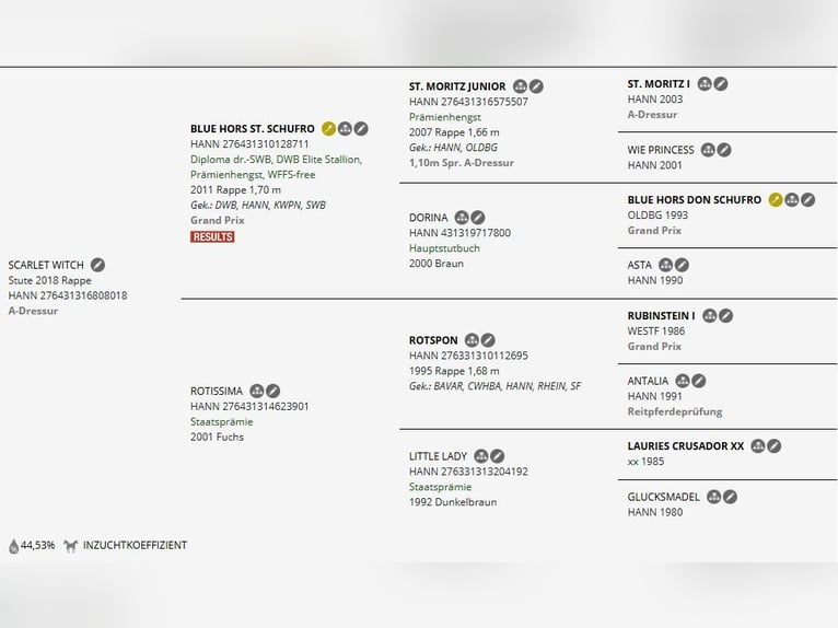 Hannoveraan Merrie 8 Jaar 175 cm Zwart in Düsseldorf