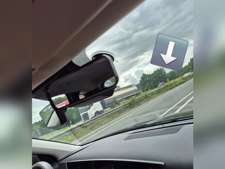 Hannoveraan Merrie  Vos in Quendorf