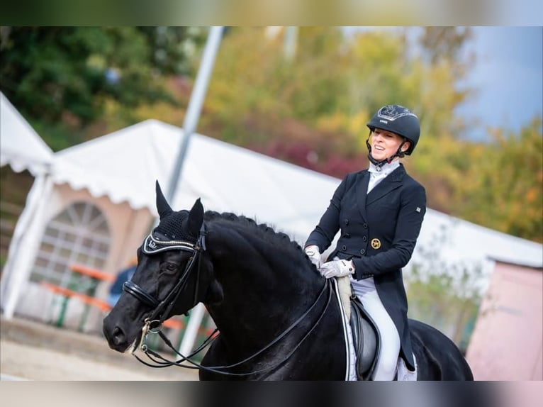 Hannoveraan Ruin 10 Jaar in Hamburg Stellingen