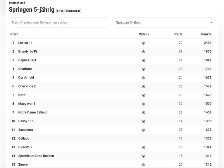 Hannoveraner Stute 4 Jahre 168 cm Fuchs in Lutherstadt Wittenberg