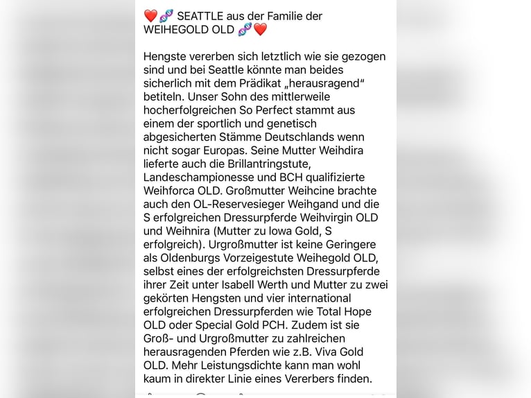 Hannoveraner Stute 6 Jahre 173 cm Fuchs in Westerau