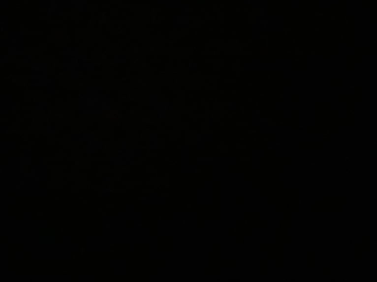 Hannoveraner Wallach 15 Jahre 171 cm Brauner in Bergisch Gladbach