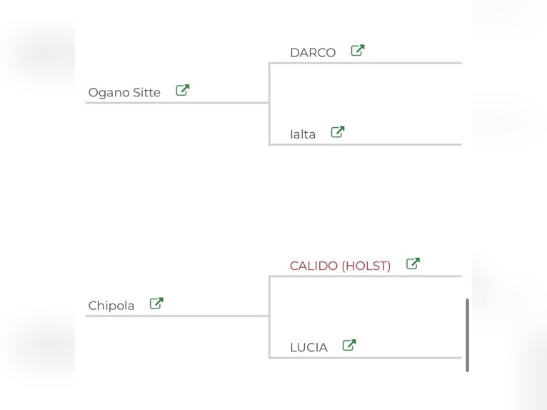 Hannoveraner Wallach 3 Jahre 165 cm Kann Schimmel werden in Deinste