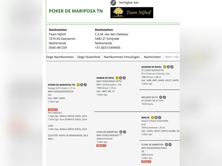 Hannoveriano Semental Potro (05/2025) Alazán-tostado in Hohenhameln