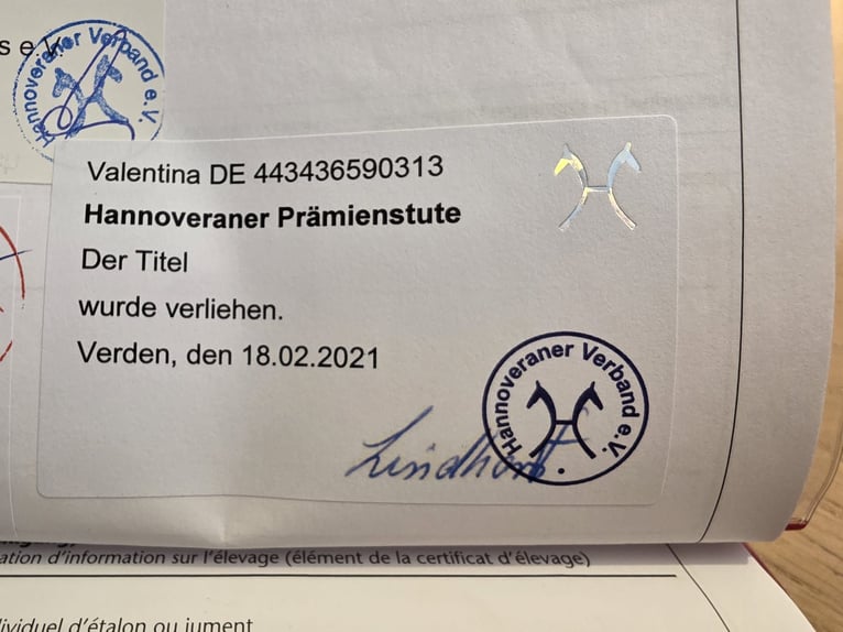 Hannoveriano Yegua 13 años 173 cm Alazán in Wolfsbach