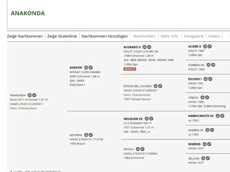 Hannoveriano Yegua 15 años 167 cm Tordo in Wolfsbach