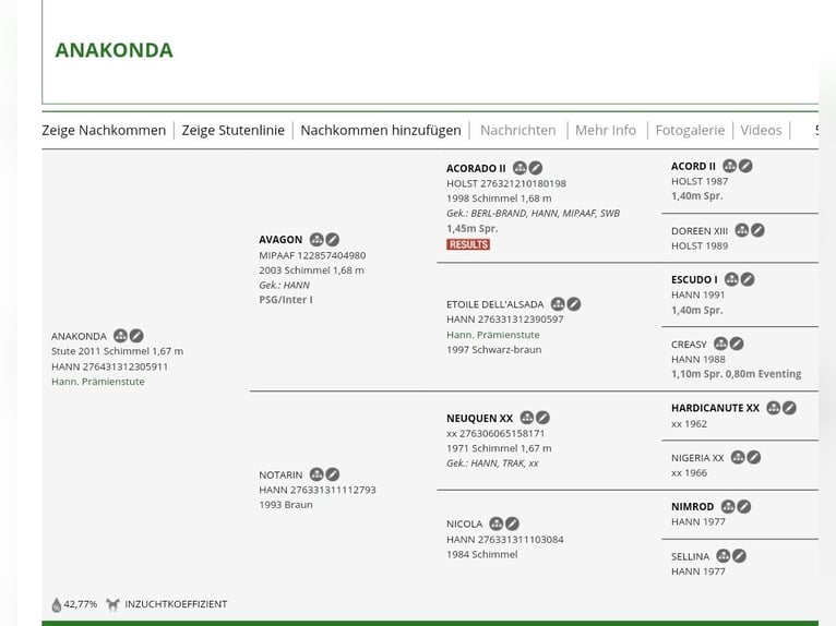 Hannoveriano Yegua 4 años 167 cm Tordo in Wolfsbach