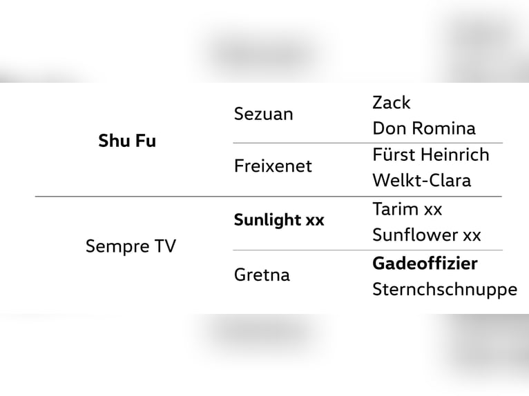 Hanoverian Gelding 3 years 17 hh Chestnut-Red in Dannenberg (Elbe)