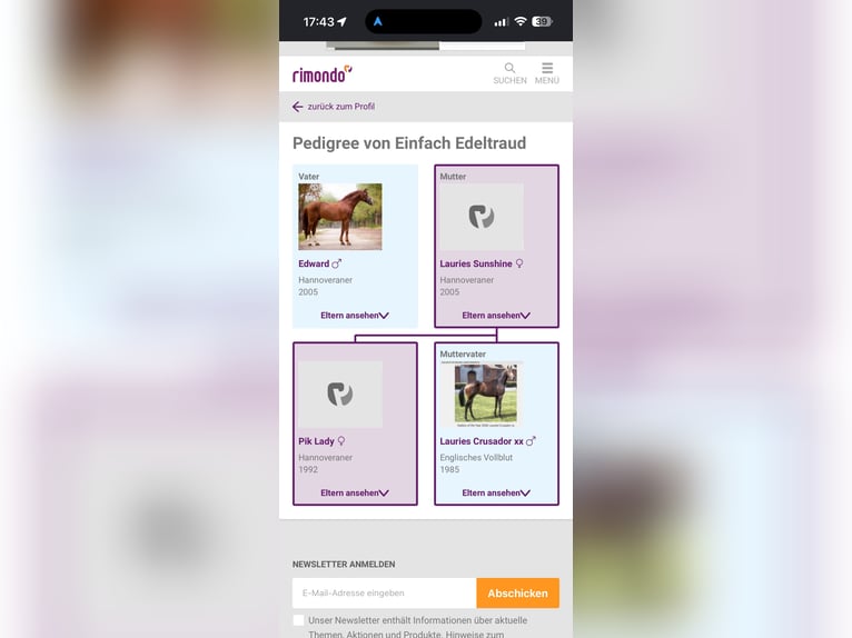 Hanoverian Mare 10 years 16,1 hh Chestnut-Red in Crailsheim