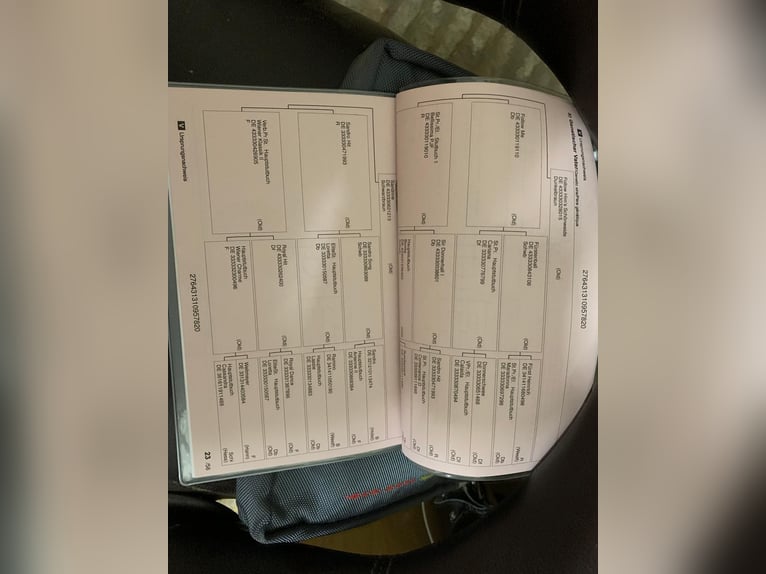 Hanoverian Mare 6 years 16 hh Bay-Dark in Celle