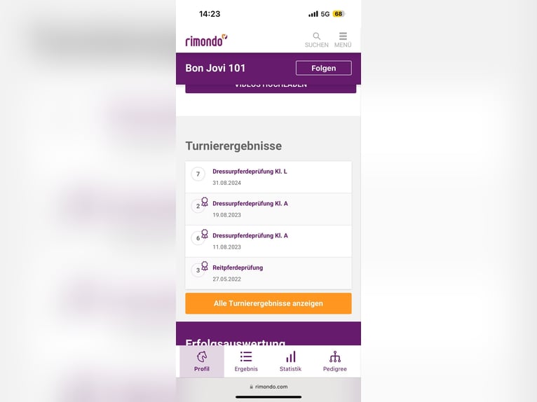 Hanovrien Hongre 7 Ans 174 cm Bai in Aalen