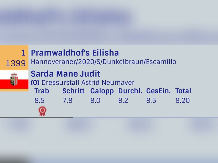 Hanovrien Jument 5 Ans 167 cm Bai brun in Wehringen