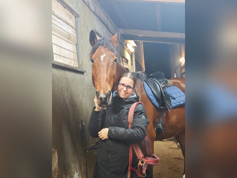 Hey! Ich suche ine RB besstenfalls mit Weiterentwicklungsmöglichkeit im springen.