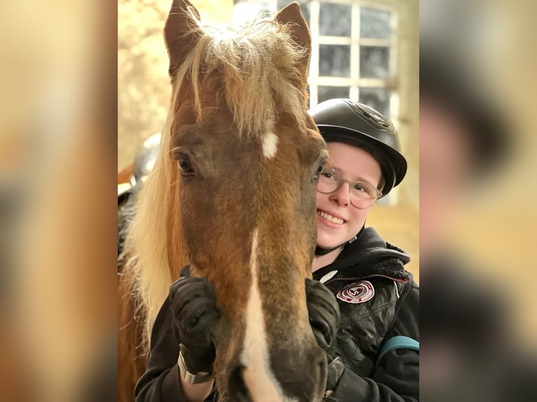 Hey, Reitbeteiligung gesucht. Ich reite seit 2018. Bereich: Dressur (Wunsch: evtl. Springen lernen)