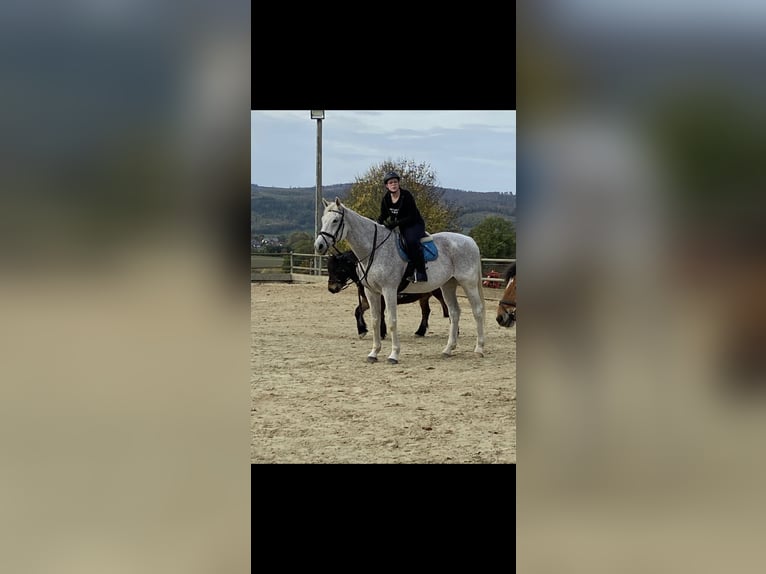 Hey, Reitbeteiligung gesucht. Ich reite seit 2018. Bereich: Dressur (Wunsch: evtl. Springen lernen)