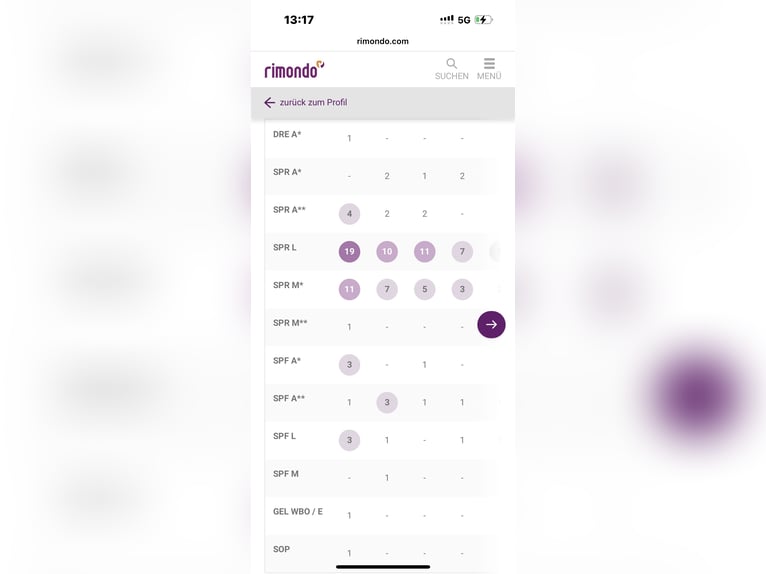 Holstein Castrone 13 Anni 165 cm Grigio in Pulheim