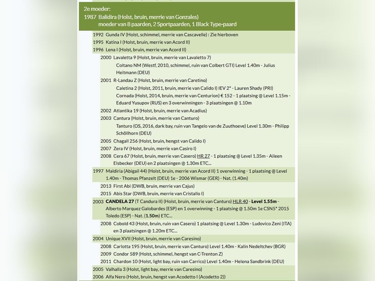 Holstein Sconosciuto Embrione  in GROTE-BROGEL