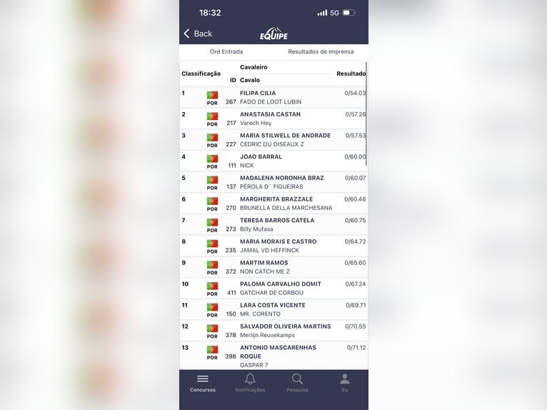 Holstein Gelding 9 years 17 hh Brown in Cascais