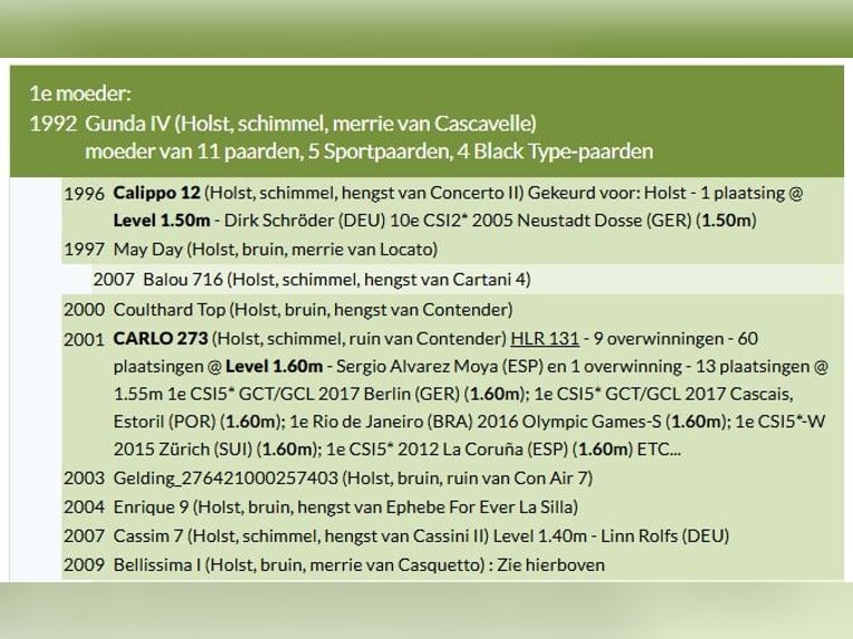 Holsteiner Onbekend Embryo  in 3990 GROTE-BROGEL