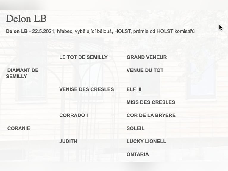 Holsteiner Hongre 5 Ans 167 cm Gris in Zduchovice