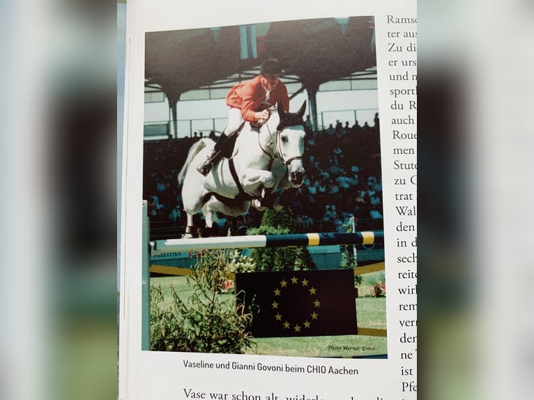 Holsteiner Jument 11 Ans 166 cm Alezan in Firrel