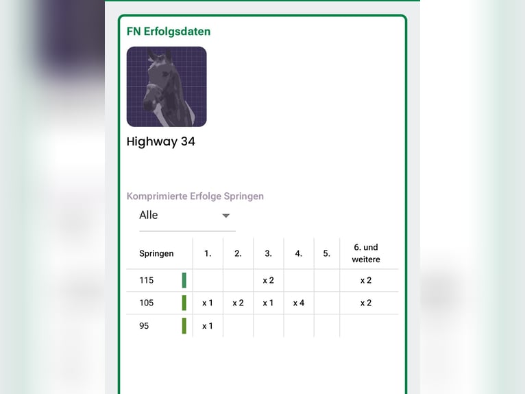 Holsteiner Jument 9 Ans 165 cm Bai in WöhrdenWöhrden