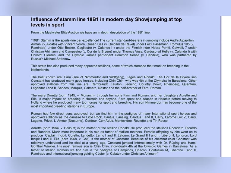 Holsteiner Mix Ruin 5 Jaar 164 cm in Couiza