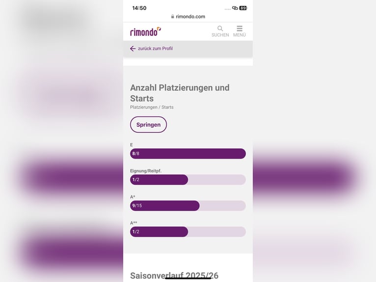 Holsteiner Wallach 5 Jahre 172 cm Schimmel in Bischofsheim