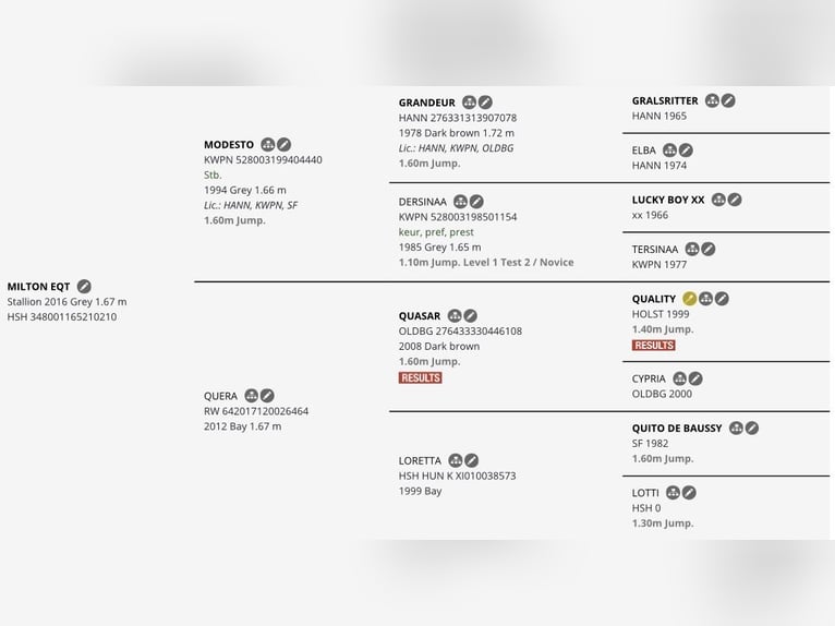 Hongaars sportpaard Ruin 10 Jaar 167 cm Schimmel in Pieleşti