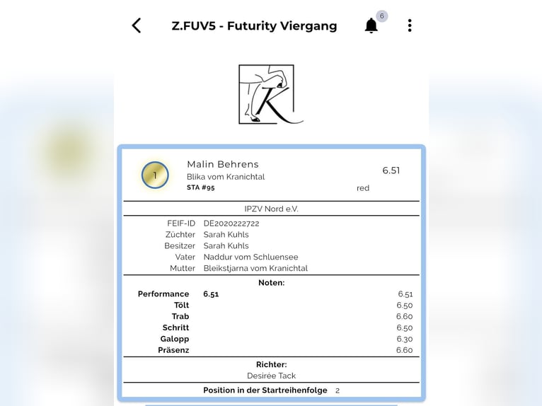 Icelandic Horse Mare 5 years 14,1 hh Dun in Lehmrade