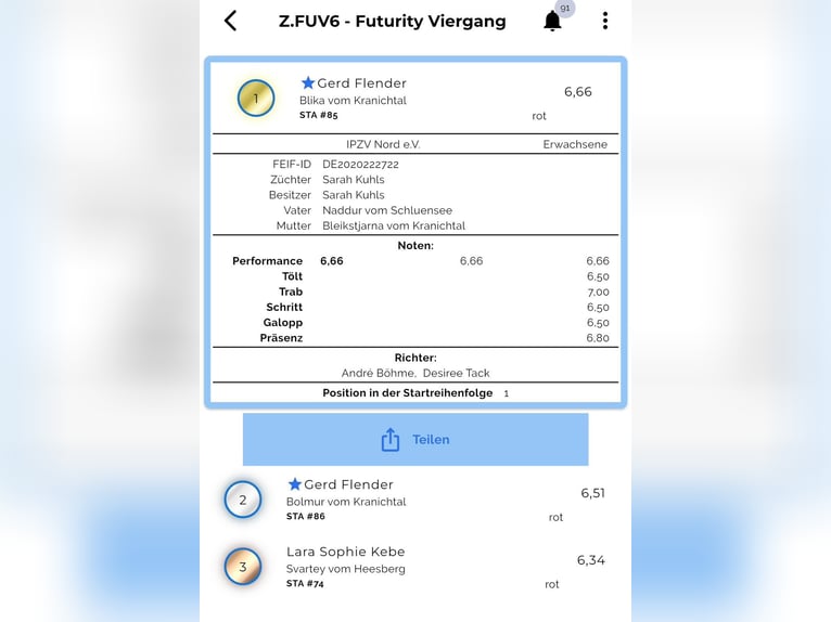 Icelandic Horse Mare 6 years 14,1 hh Dun in Lehmrade