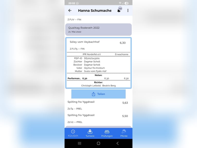 Icelandic Horse Mare 8 years 13,2 hh Black in Euskirchen