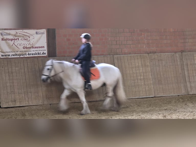 Ich suche eine Reitbeteildigung