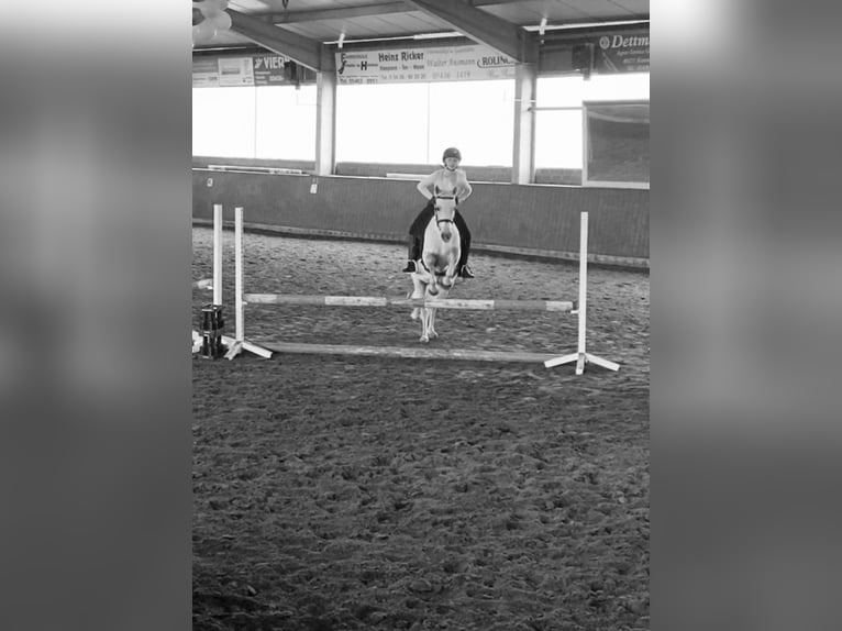 Ich Suche eine Reitbeteildigung. Ich Suche eine Reitbeteildigung.
