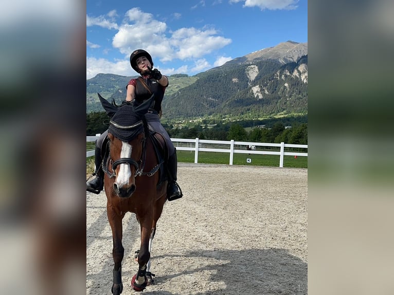 Ich suche eine Reitbeteiligung