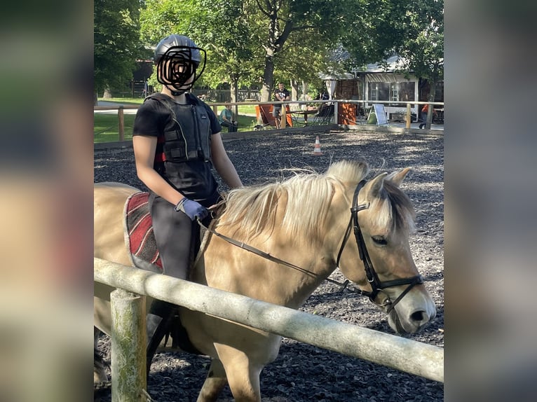 ich suche reitbeteiligung