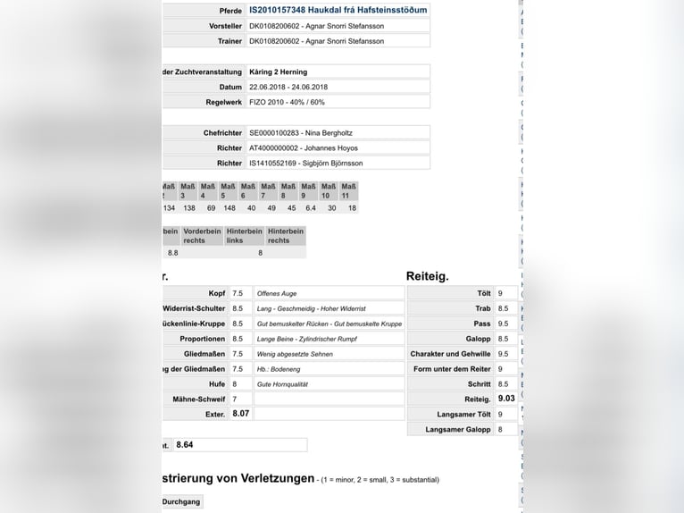 IJslander Hengst 2 Jaar 140 cm Vos in Hohenstein