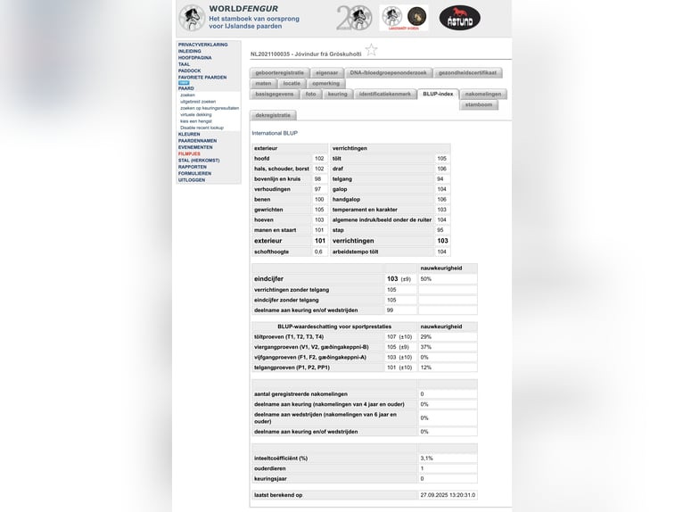 IJslander Ruin 5 Jaar 139 cm Vos in Wanroij