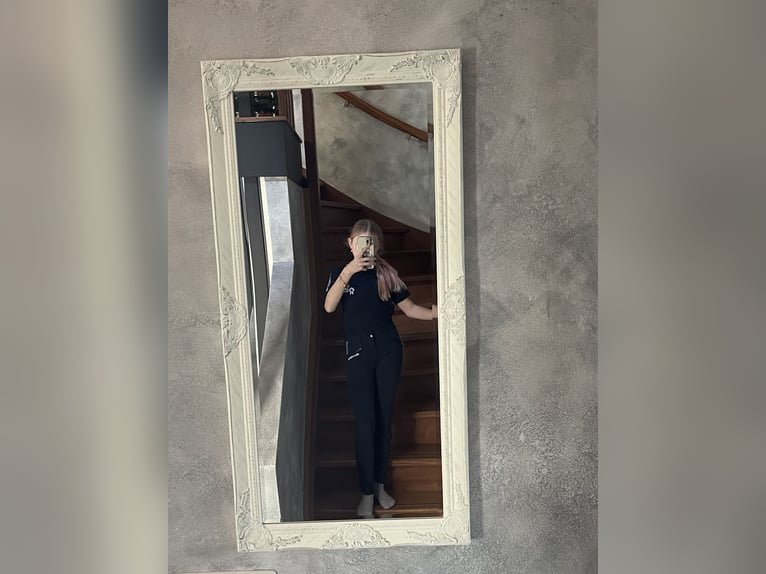 Ik zoek een verzorg pony 