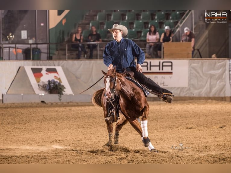 IM A ROUGH BOY American Quarter Horse Ogier in Reichweiler