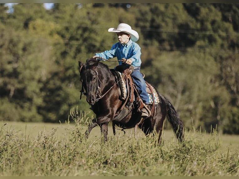 Inne kuce/małe konie Wałach 6 lat 107 cm Kara in Lyles, TN