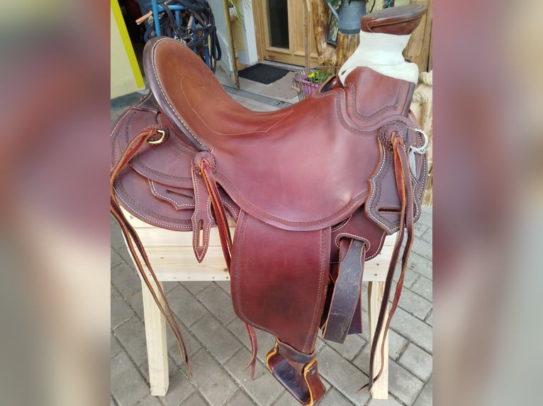 Inne kuce/małe konie Mix Klacz 13 lat 142 cm Skarogniada in GefellGefell