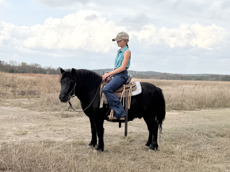 Inne kuce/małe konie Wałach 8 lat 109 cm Kara in Cleburne