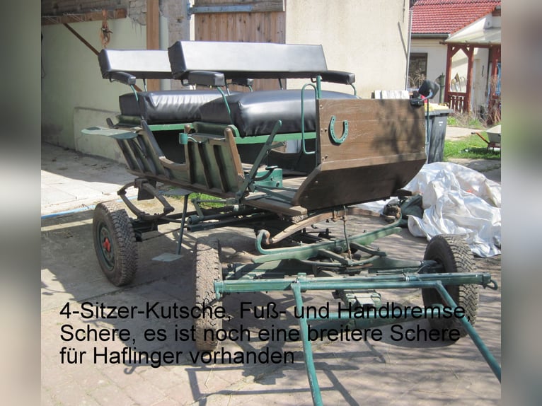 Inne kuce/małe konie Mix Wałach 8 lat 150 cm Srokata in Angerm&#xFC;nde