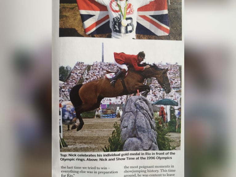 Irish Sport Horse Hengst Fohlen (04/2025) 167 cm Rotbrauner in Clonmellon,County Westmeath