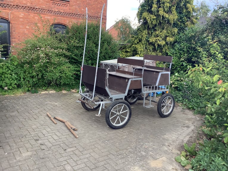 Irish sport horse Merrie 5 Jaar 160 cm Bruin in Schellerten
