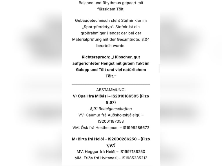 Islandais Hongre 1 Année Bai in Greifenburg