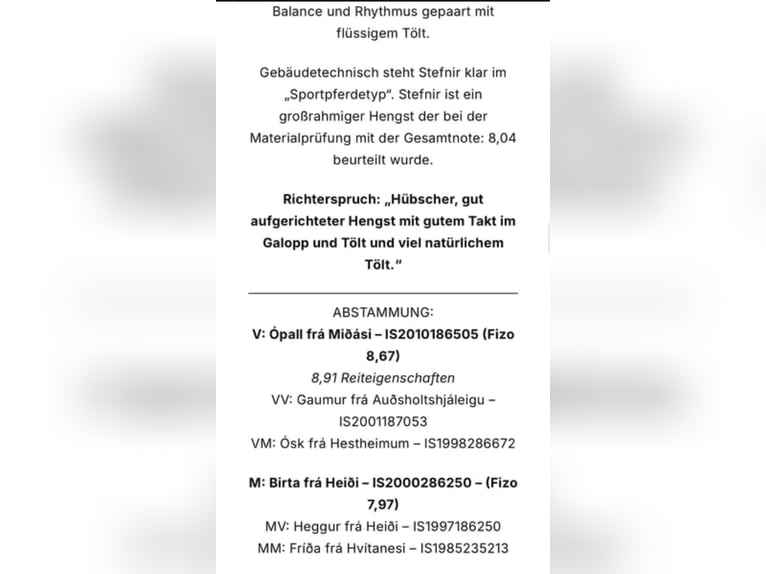 Islandais Hongre 2 Ans Bai in Greifenburg