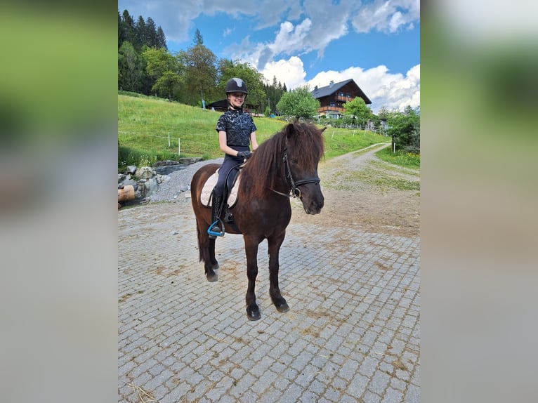 Islandais Hongre 8 Ans 144 cm Noir in Berg im Drautal
